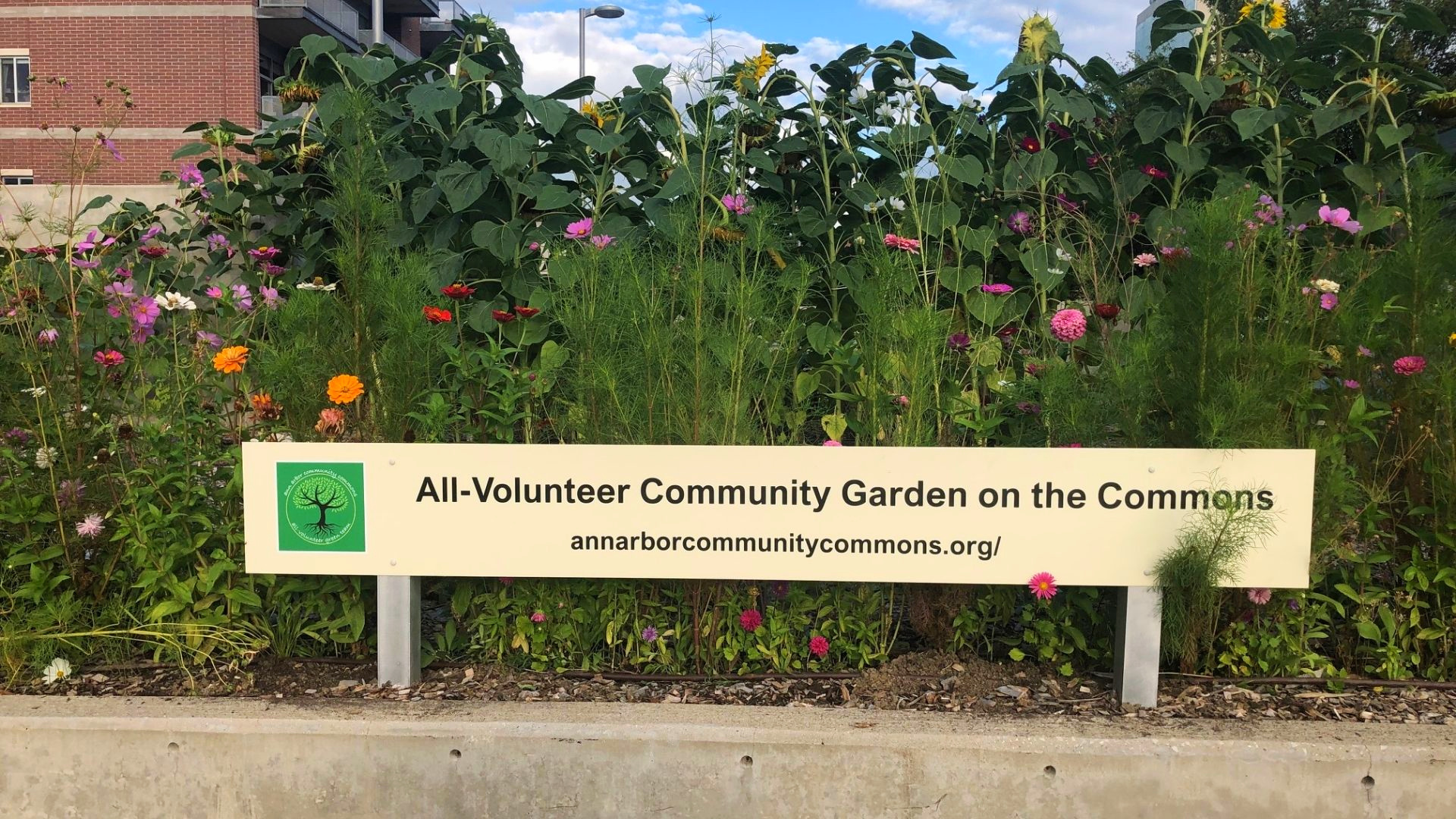 VOLUNTEER TODAY - Ann Arbor Community Commons